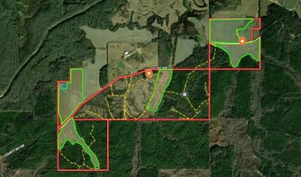 1037 Cr 300, Big Creek, MS 38914