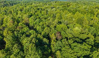 24 Joyful Spgs, Beattyville, KY 41311