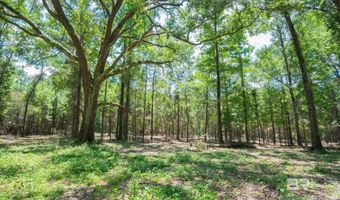 0 Hurricane Rd, Bay Minette, AL 36507