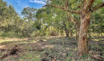 16-185 AULII St, Keaau, HI 96749