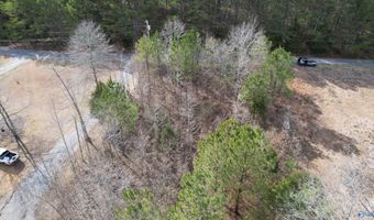 011 County Road 3782, Arley, AL 35441