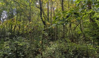99999 Taft Ave, Asheville, NC 28803