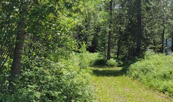 NNA Continental Lane-Parcel 3, Bonners Ferry, ID 83805