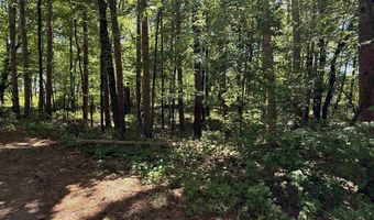 ARROWHEAD ROAD lot 16, Amherst Junction, WI 54407