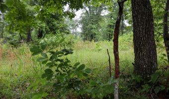 14 5 Neil Robinson Rd, Anderson, MO 64831