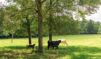 27050 County Road 70, Andalusia, AL 36421