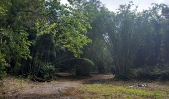 46-3821 PUAONO Rd 107, Honokaa, HI 96727