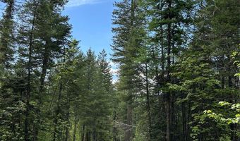 Nhn Black Wolf Trail, Bigfork, MT 59911
