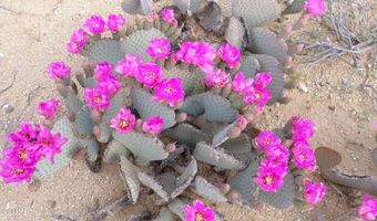 606 D S Billy The Kid Rd, Yucca, AZ 86438