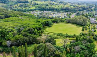 3310 WAWAE Rd, Kalaheo, HI 96741