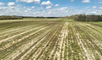 15 Acres Antioch Church Rd, Ashford, AL 36312