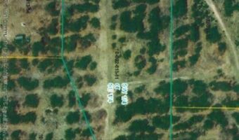 PARCEL F COUNTRY PINES DRIVE, Kingsley, MI 49649