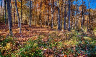54 E Ridge Rd, Allardt, TN 38504