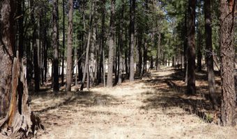 8 B County Road 2267 Escudilla Rd, Alpine, AZ 85920