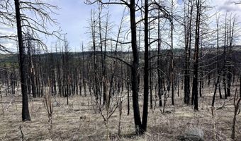 Wren Dr lot 11, Bonanza, OR 97623