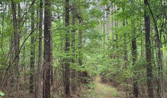 2780 Jackson Liberty Rd, Bogue Chitto, MS 39629