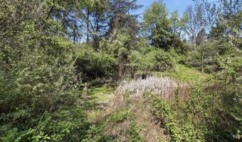 1264 TEARCOAT Rd, Augusta, WV 26704