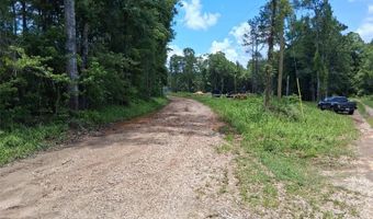 Dan Churchman Road, Axis, AL 36505