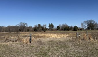 2966 N U.S. 412, Alamo, TN 38001
