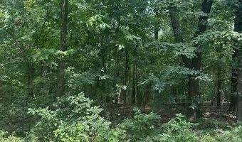 Private Road Cc-200, Alton, MO 65606
