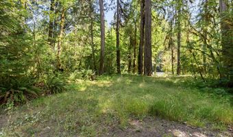 McKenzie River Dr 1800, Blue River, OR 97413
