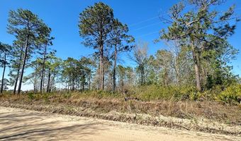 Golf Rd, Baxley, GA 31513