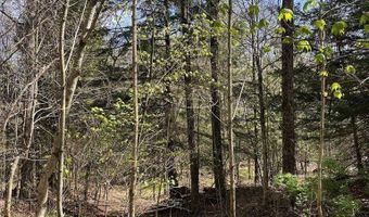 106 Road, Alma, NY 14708