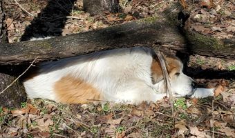 4775 S 50th Rd, Aldrich, MO 65601