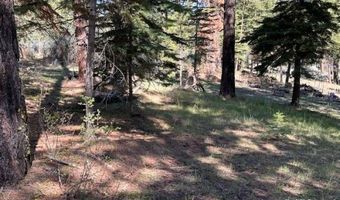 McKenny Dr, Alturas, CA 96101