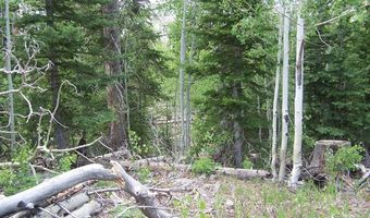 14 15, Brian Head, UT 84719