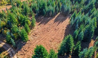 NW Lodge Rd, Banks, OR 97106