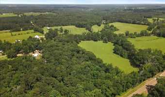 3350 SE Mt Pleasant Ln, Bogue Chitto, MS 39629