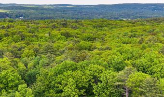 196 Maple Ave, Acra, NY 12405