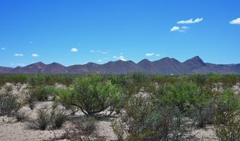 605 LTM Rd, Terlingua, TX 79852