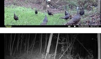 104 Acres Wesson Gap Rd, Attalla, AL 35954