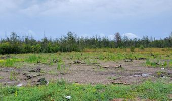 V/L 40AC Hamilton Road, Alpena, MI 49707