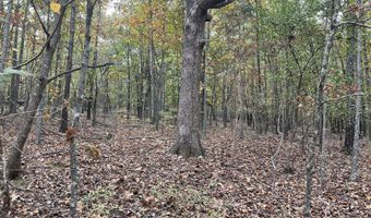 County Road 113 lot 1, Alton, MO 65606