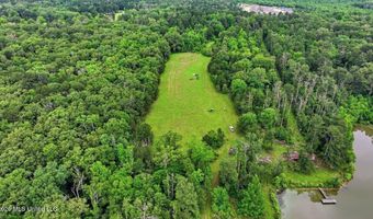 Vine Drive, Brandon, MS 39047
