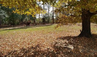 W Hwy 24, Bartow, GA 30413