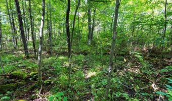 Double Bend Road, Argonne, WI 54511