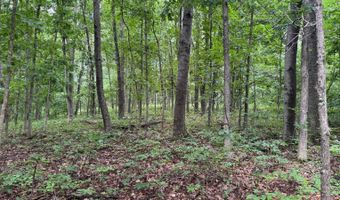 37928 Buck Run Rd, Albany, OH 45710