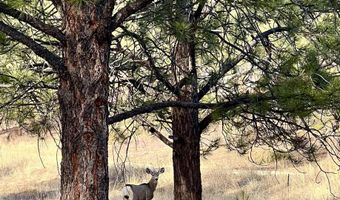 72 Back Basin, Angel Fire, NM 87710