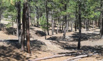 Lot S, Belle Fourche, SD 57717