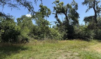 Lot # 1 - 6.2 Ac Perry Horton, Adrian, GA 31002