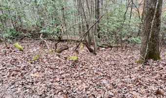 Lot # 133 Peaceful Valley Rec Retreat, Beattyville, KY 41311