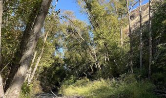 13761 Asotin Creek Rd, Asotin, WA 99402