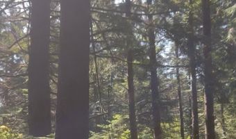 88675 WHITING Ln, Bandon, OR 97411