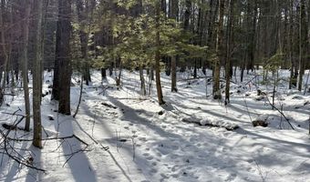 Lot 80-1 Currier Road, Candia, NH 03034