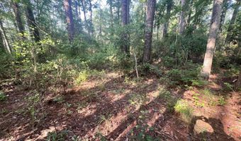 Strawhorn Creek Road lot 2 & 3, Aurora, NC 27806