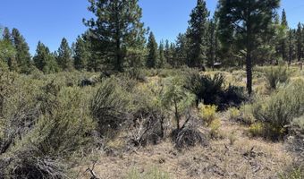 Bufflehead Drive 18, Bonanza, OR 97623